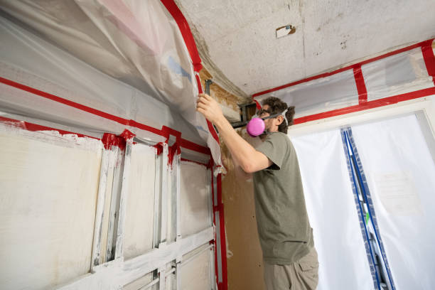 Mold Remediation for Vacation Homes in Eagleville, PA